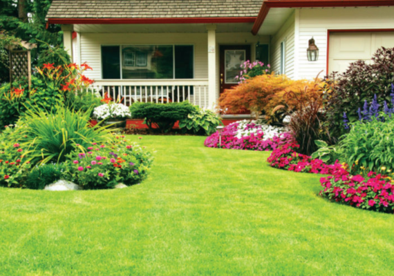 Landscaping