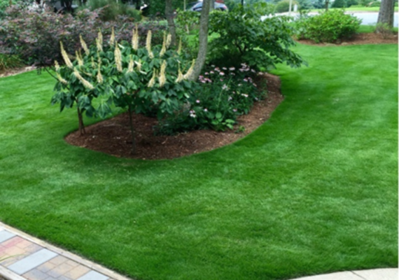 Landscaping